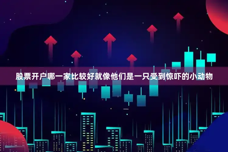 股票开户哪一家比较好就像他们是一只受到惊吓的小动物