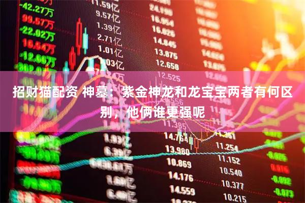 招财猫配资 神墓：紫金神龙和龙宝宝两者有何区别，他俩谁更强呢