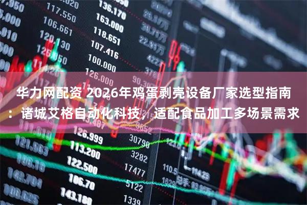 华力网配资 2026年鸡蛋剥壳设备厂家选型指南：诸城艾格自动化科技，适配食品加工多场景需求