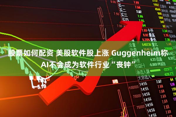 股票如何配资 美股软件股上涨 Guggenheim称AI不会成为软件行业“丧钟”